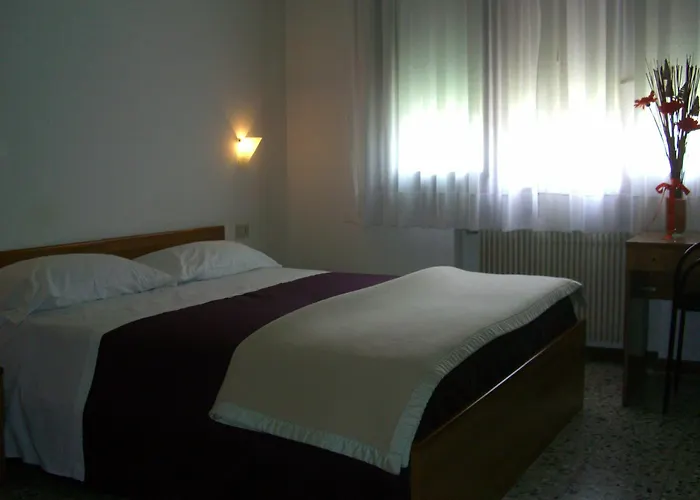 Vidale * 梅斯特雷